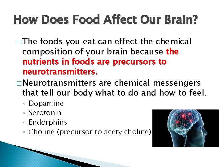 How Does Food Affect Our Brain? � The foods you eat can effect the