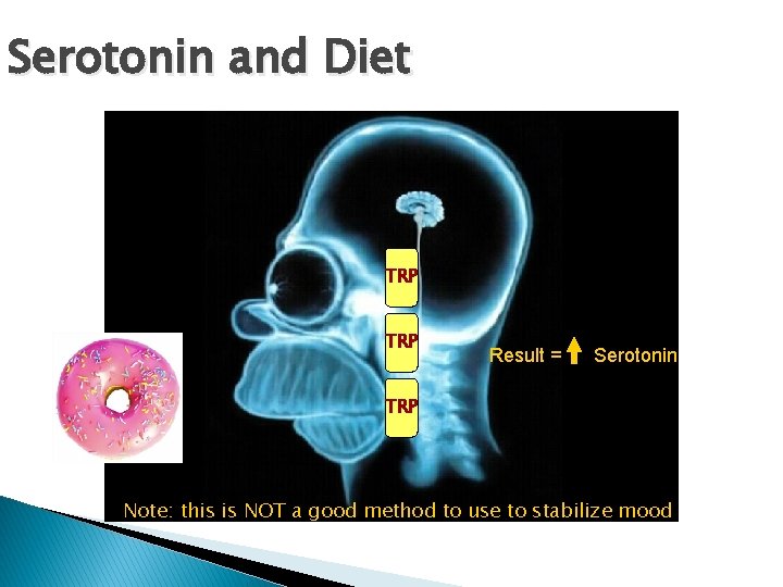 Serotonin and Diet TRP A TRP Result = Serotonin TRP Note: this is NOT