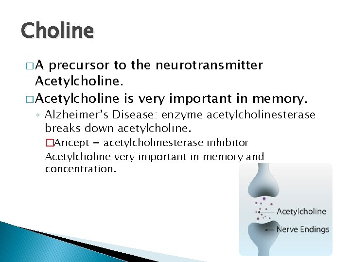 Choline �A precursor to the neurotransmitter Acetylcholine. � Acetylcholine is very important in memory.