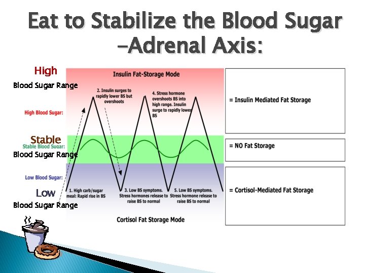 Eat to Stabilize the Blood Sugar -Adrenal Axis: High Blood Sugar Range Stable Blood