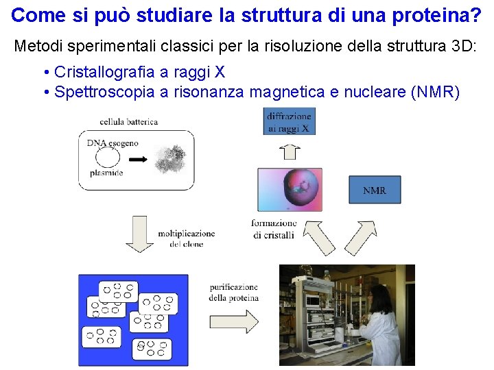 Come si può studiare la struttura di una proteina? Metodi sperimentali classici per la