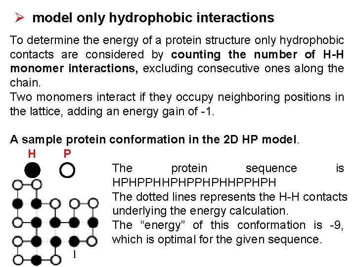 Ø model only hydrophobic interactions To determine the energy of a protein structure only