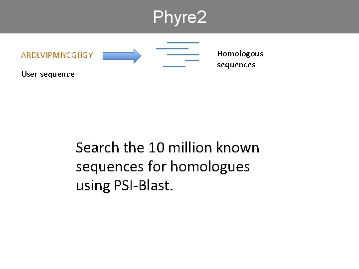 Phyre 2 ARDLVIPMIYCGHGY User sequence Homologous sequences Search the 10 million known sequences for