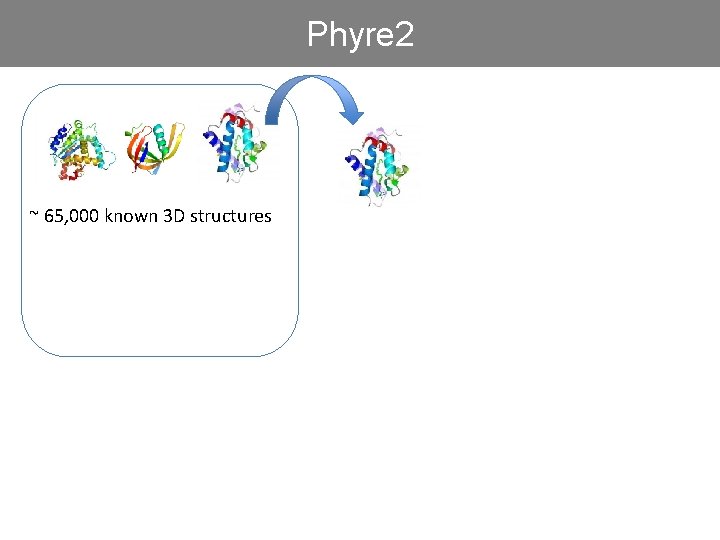 Phyre 2 ~ 65, 000 known 3 D structures 