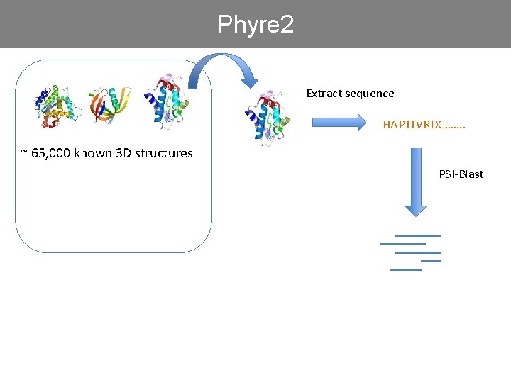 Phyre 2 Extract sequence HAPTLVRDC……. ~ 65, 000 known 3 D structures PSI-Blast 