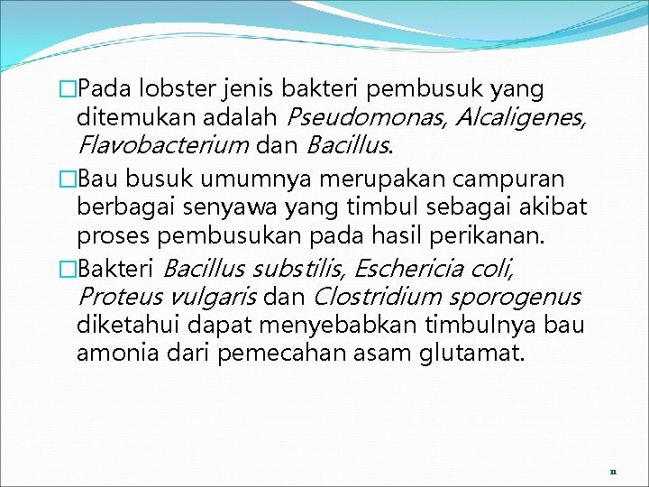 �Pada lobster jenis bakteri pembusuk yang ditemukan adalah Pseudomonas, Alcaligenes, Flavobacterium dan Bacillus. �Bau �Pada lobster jenis bakteri pembusuk yang ditemukan adalah Pseudomonas, Alcaligenes, Flavobacterium dan Bacillus. �Bau