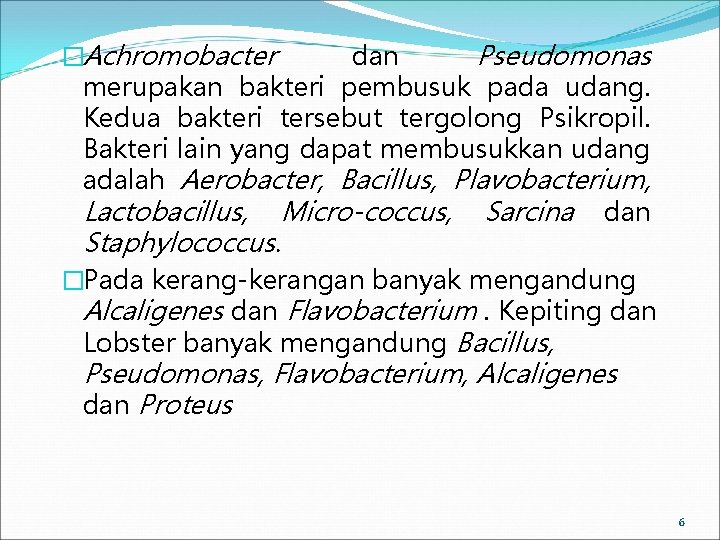 �Achromobacter dan Pseudomonas merupakan bakteri pembusuk pada udang. Kedua bakteri tersebut tergolong Psikropil. Bakteri