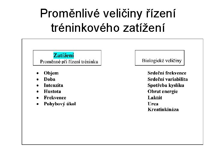 Proměnlivé veličiny řízení tréninkového zatížení 