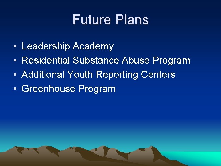 Future Plans • • Leadership Academy Residential Substance Abuse Program Additional Youth Reporting Centers