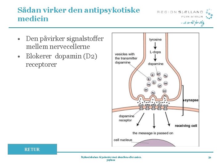 Sådan virker den antipsykotiske medicin • Den påvirker signalstoffer mellem nervecellerne • Blokerer dopamin