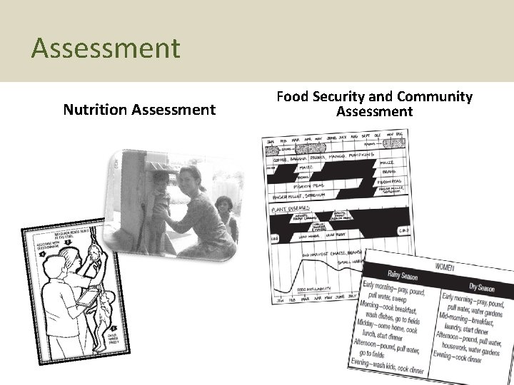 Assessment Nutrition Assessment Food Security and Community Assessment 