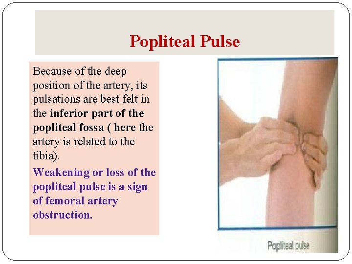 Popliteal Pulse Because of the deep position of the artery, its pulsations are best