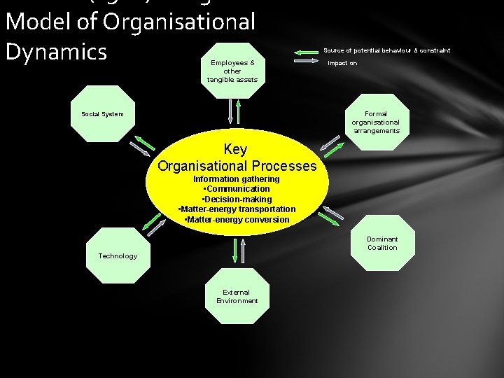 Model of Organisational Dynamics Employees & other tangible assets Source of potential behaviour &