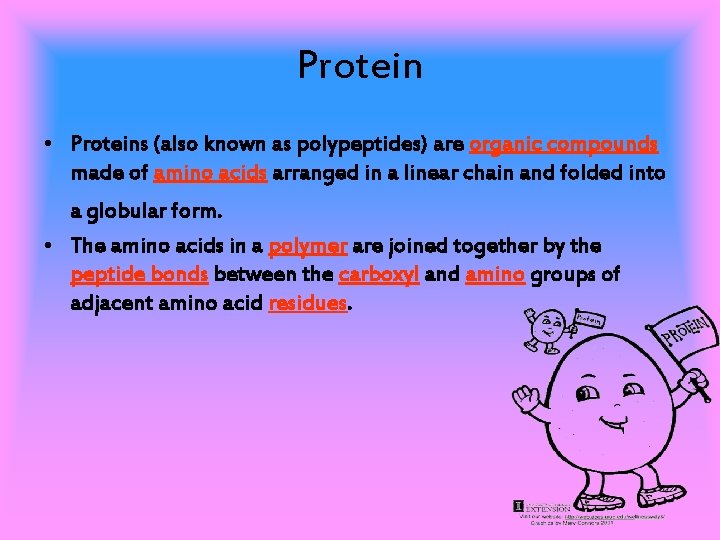 Protein • Proteins (also known as polypeptides) are organic compounds made of amino acids