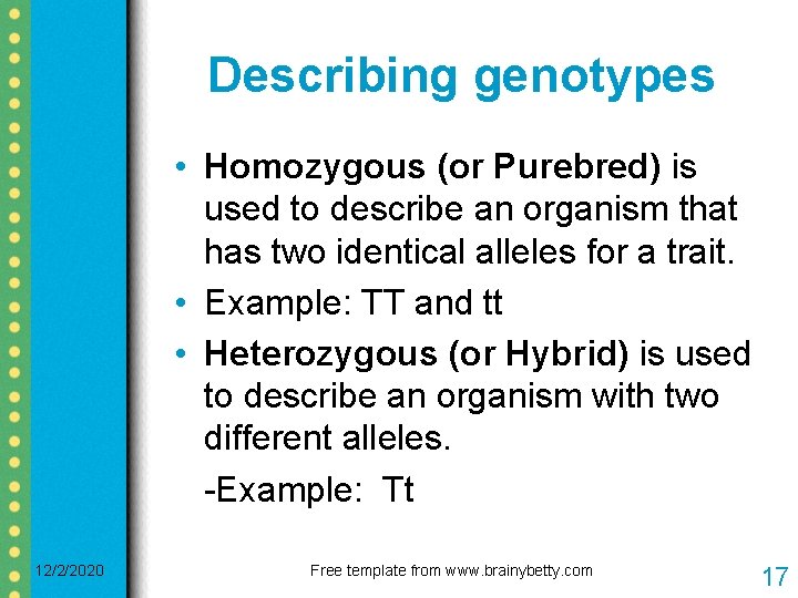 Describing genotypes • Homozygous (or Purebred) is used to describe an organism that has