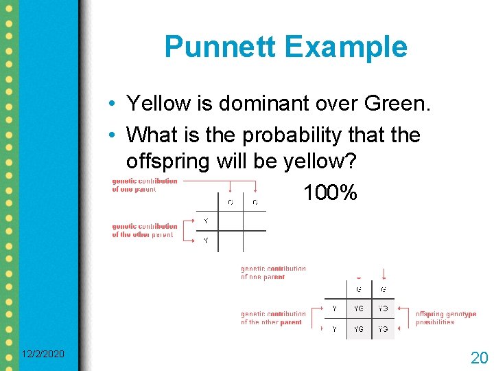 Punnett Example • Yellow is dominant over Green. • What is the probability that