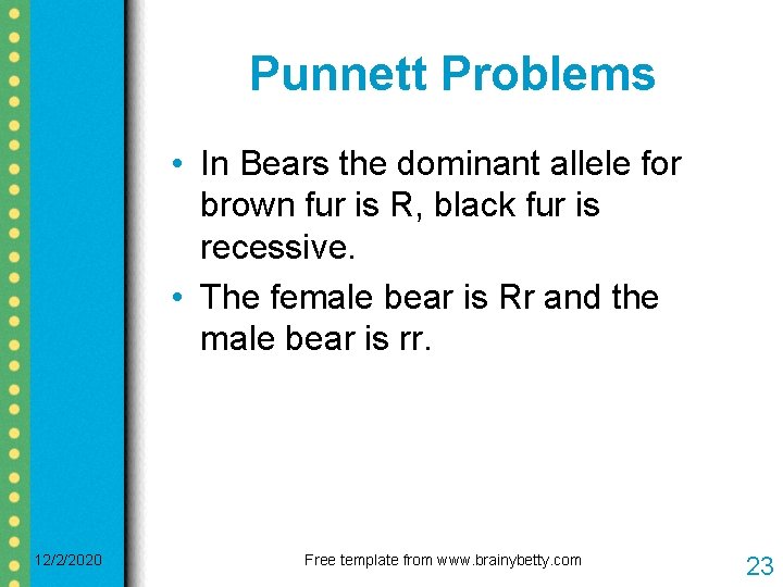 Punnett Problems • In Bears the dominant allele for brown fur is R, black