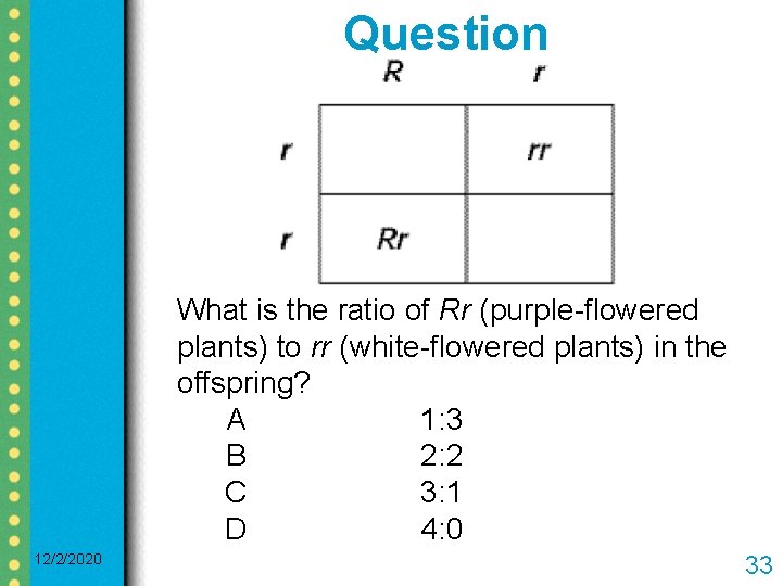 Question What is the ratio of Rr (purple-flowered plants) to rr (white-flowered plants) in