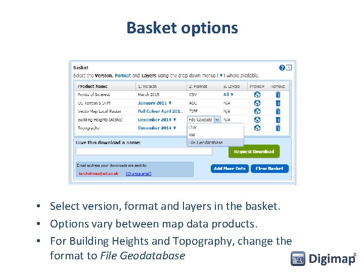 Basket options • Select version, format and layers in the basket. • Options vary