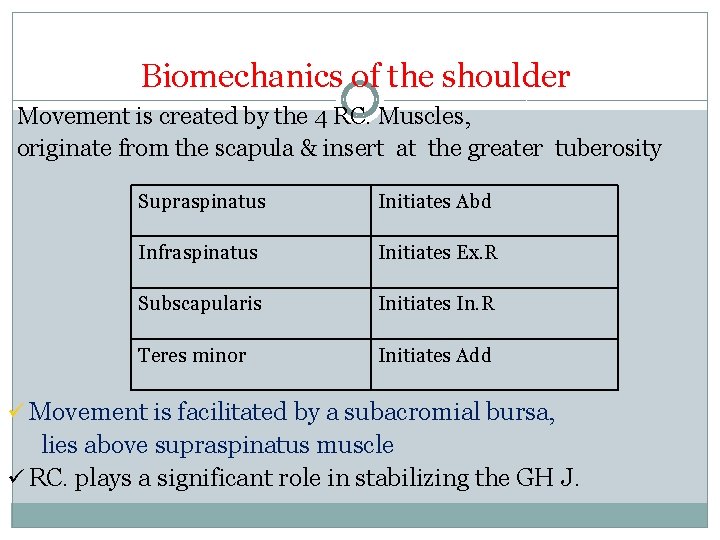 Biomechanics of the shoulder Movement is created by the 4 RC. Muscles, originate from