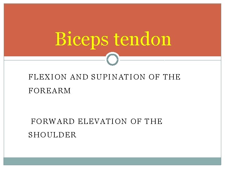 Biceps tendon FLEXION AND SUPINATION OF THE FOREARM FORWARD ELEVATION OF THE SHOULDER 