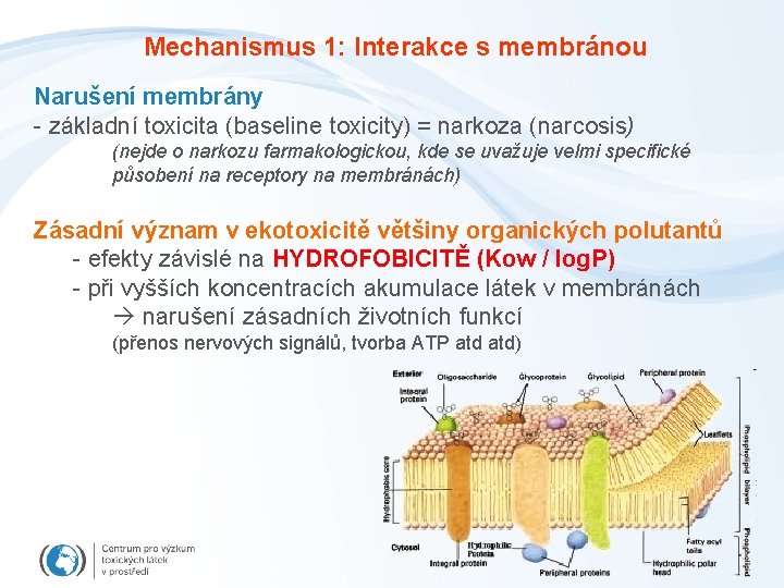 Mechanismus 1: Interakce s membránou Narušení membrány - základní toxicita (baseline toxicity) = narkoza