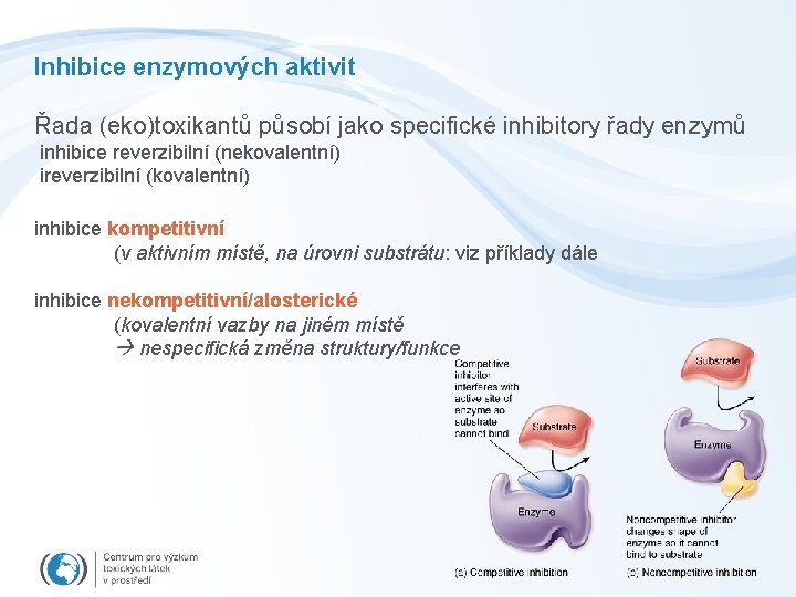 Inhibice enzymových aktivit Řada (eko)toxikantů působí jako specifické inhibitory řady enzymů inhibice reverzibilní (nekovalentní)