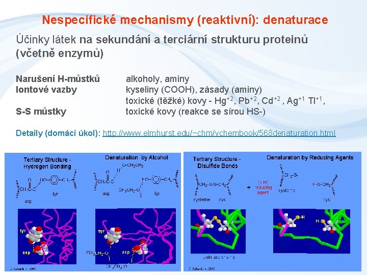 Nespecifické mechanismy (reaktivní): denaturace Účinky látek na sekundání a terciární strukturu proteinů (včetně enzymů)