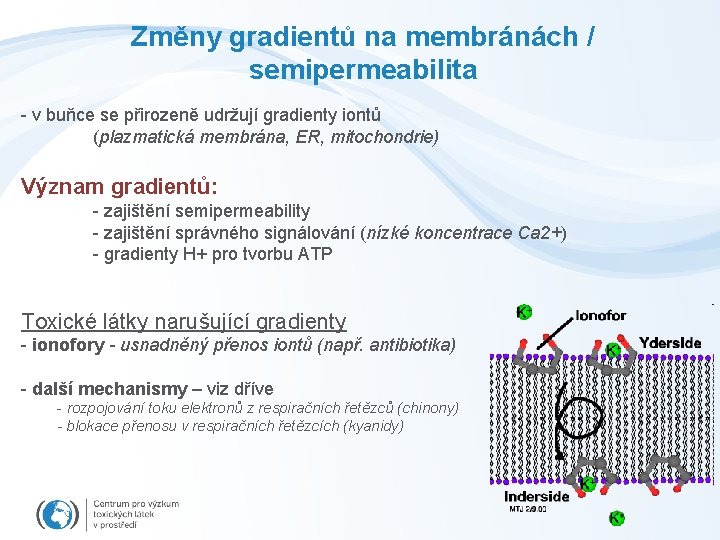 Změny gradientů na membránách / semipermeabilita - v buňce se přirozeně udržují gradienty iontů