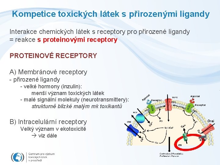 Kompetice toxických látek s přirozenými ligandy Interakce chemických látek s receptory pro přirozené ligandy