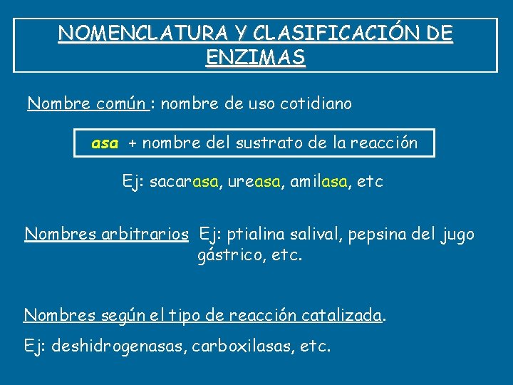 NOMENCLATURA Y CLASIFICACIÓN DE ENZIMAS Nombre común : nombre de uso cotidiano asa +
