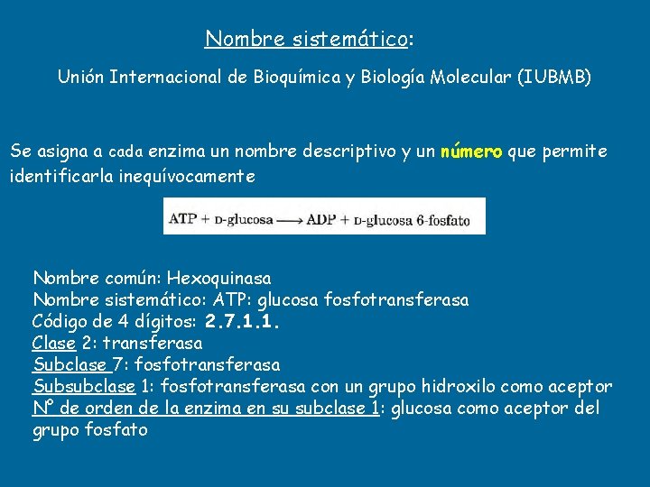 Nombre sistemático: Unión Internacional de Bioquímica y Biología Molecular (IUBMB) Se asigna a cada