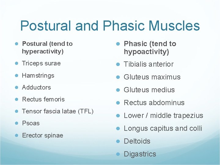 Postural and Phasic Muscles ● Postural (tend to hyperactivity) ● Phasic (tend to hypoactivity)