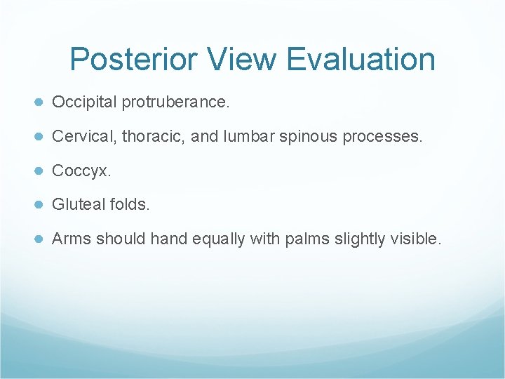 Posterior View Evaluation ● Occipital protruberance. ● Cervical, thoracic, and lumbar spinous processes. ●