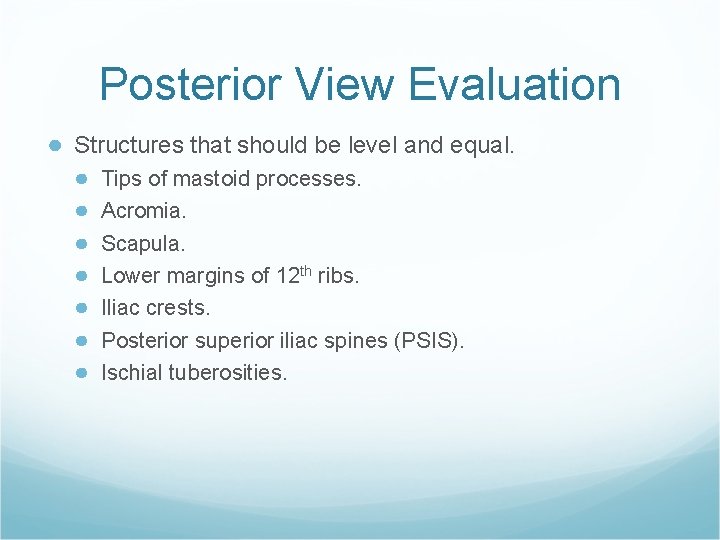 Posterior View Evaluation ● Structures that should be level and equal. ● ● ●