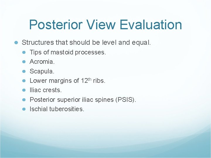 Posterior View Evaluation ● Structures that should be level and equal. ● ● ● Posterior View Evaluation ● Structures that should be level and equal. ● ● ●
