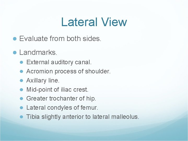 Lateral View ● Evaluate from both sides. ● Landmarks. ● ● ● ● External
