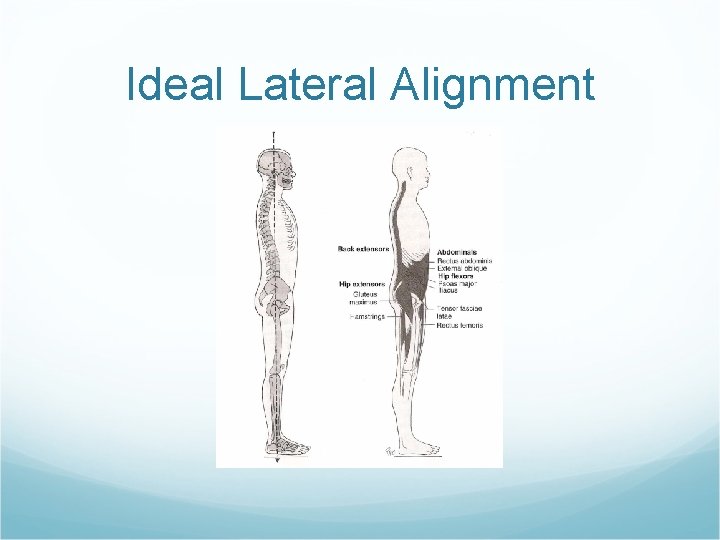Ideal Lateral Alignment 