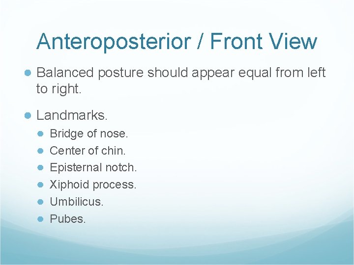 Anteroposterior / Front View ● Balanced posture should appear equal from left to right.