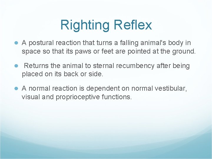 Righting Reflex ● A postural reaction that turns a falling animal's body in space