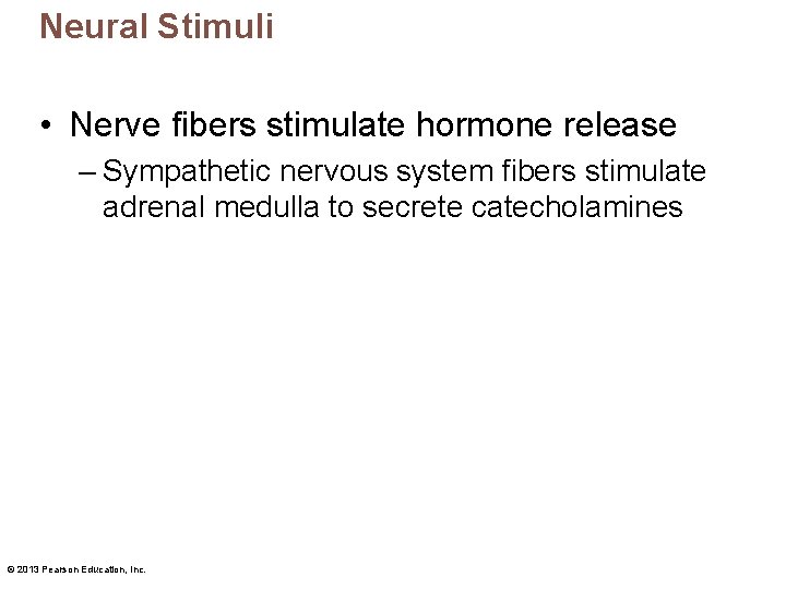 Neural Stimuli • Nerve fibers stimulate hormone release – Sympathetic nervous system fibers stimulate