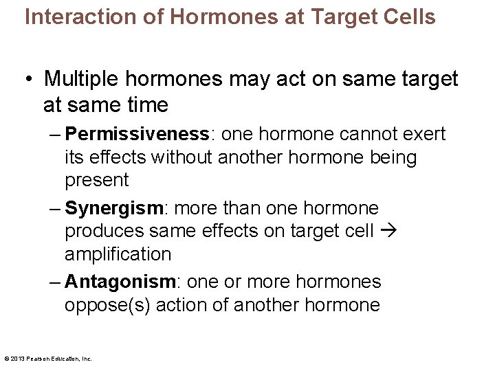 Interaction of Hormones at Target Cells • Multiple hormones may act on same target
