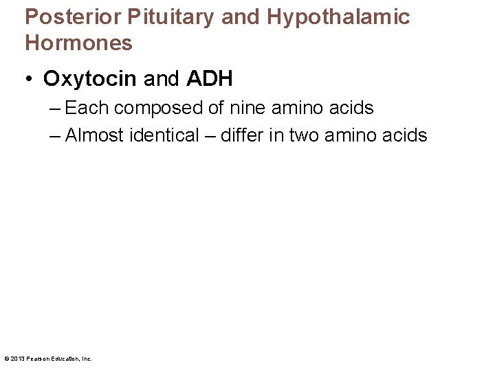 Posterior Pituitary and Hypothalamic Hormones • Oxytocin and ADH – Each composed of nine