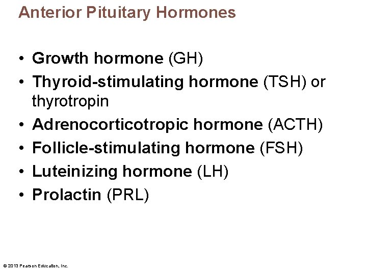 Anterior Pituitary Hormones • Growth hormone (GH) • Thyroid-stimulating hormone (TSH) or thyrotropin •