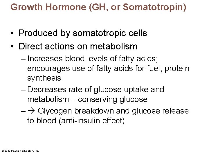 Growth Hormone (GH, or Somatotropin) • Produced by somatotropic cells • Direct actions on
