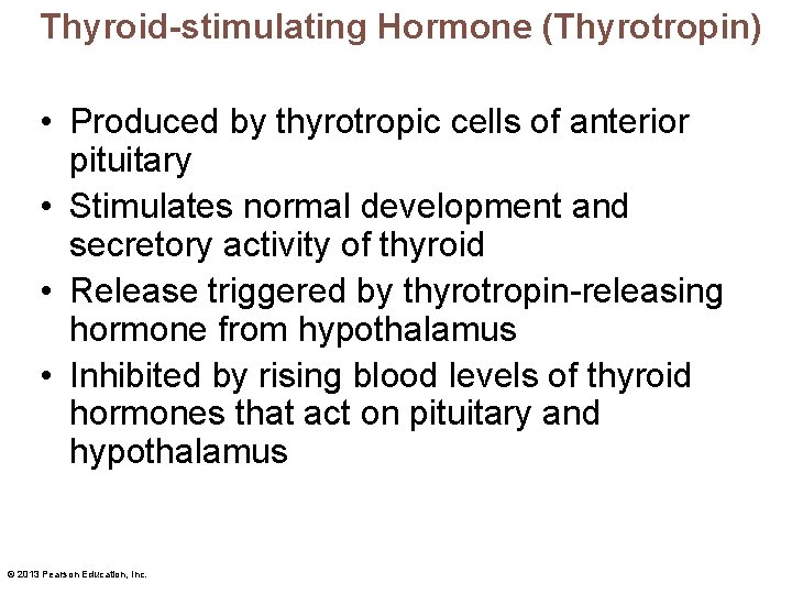 Thyroid-stimulating Hormone (Thyrotropin) • Produced by thyrotropic cells of anterior pituitary • Stimulates normal