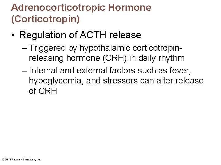 Adrenocorticotropic Hormone (Corticotropin) • Regulation of ACTH release – Triggered by hypothalamic corticotropinreleasing hormone