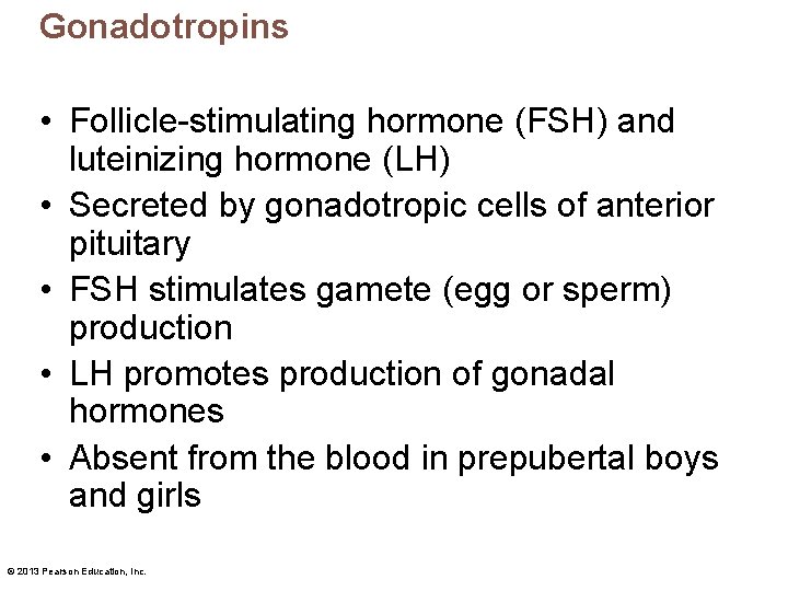 Gonadotropins • Follicle-stimulating hormone (FSH) and luteinizing hormone (LH) • Secreted by gonadotropic cells