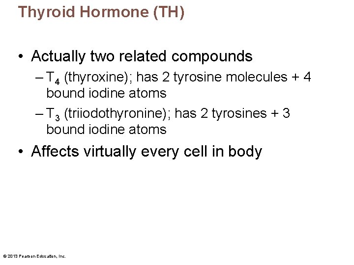 Thyroid Hormone (TH) • Actually two related compounds – T 4 (thyroxine); has 2