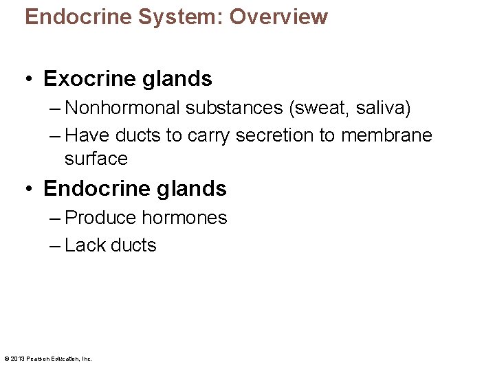 Endocrine System: Overview • Exocrine glands – Nonhormonal substances (sweat, saliva) – Have ducts